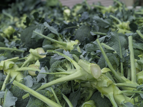 ブロッコリー６つ　春キャベツ３つ
（増量ともちゃんセット）