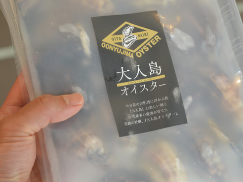 生でツルっと❣️ 大入島オイスター シングルシード真牡蠣 プロトン凍結カキ（20個入）