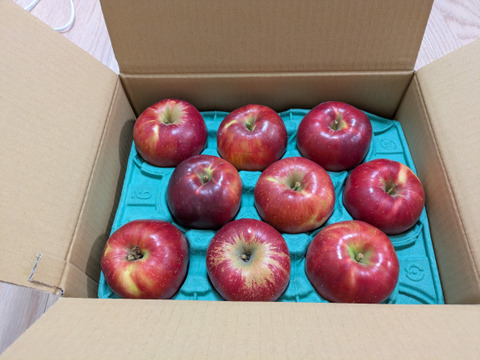 発送中🍎紅玉 3キロ箱【有名パティシエ鎧塚さんが紅玉でタルトタタンのレシピ&動画公開！！】 加工もおすすめ6玉〜15玉サイズ 商品ID42918 長野県 信州 安曇野 リンゴ