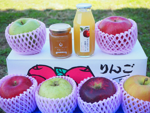 ✨りんごの宝石箱✨【先行予約】りんご6品種食べ比べ＋おまけ付き