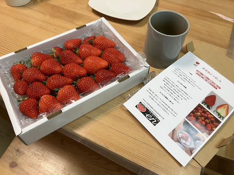 完熟よつぼし☆（ご家庭用・約530g×４箱）