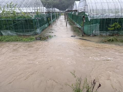 【1口5000円】令和7年8月 大雨による浸水害  生産者応援チケット