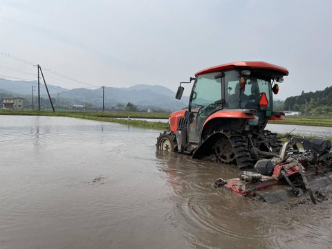 【令和7年・新米予約】♣️「夢ごこち」確かに味があるモチモチ派がハマるお米🌾京都・京丹後峰山産　特別栽培米５㎏【白米】