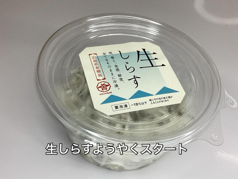 生シラス！‼極小ちりめん、感動のちりめんヒジキこの6点は自由にセット変更もOKの贅沢【福袋】50セット
売切れ必須のちりめんヒジキもこれ用にキープしてました！あったのといわれる生シラスも