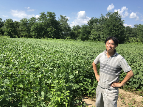 【毎朝収穫中！】枝豆 えだまめ フルーツ枝豆 2kg 秋田県産 横手市産 まるで果物！甘くておいしい 産地直送 農家直送 朝穫れ