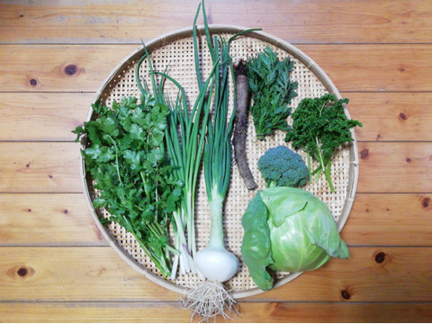 農薬 化学肥料不使用 クールで対応 野菜セット 必ずパクチー入り ６ ８種類の野菜 ６０サイズ箱 愛媛県産 食べチョク 農家 漁師の産直ネット通販 旬の食材を生産者直送