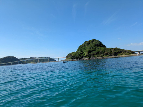 【中～大サイズ】天然赤（メガイ）アワビ1000ｇ