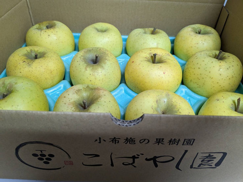 シナノゴールド　訳あり　長野県産りんご3kg 6〜13玉