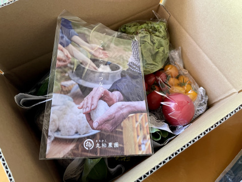 【お試しサイズ】山のミネラルたっぷり！ソノちゃんのこだわり野菜セット6〜7種