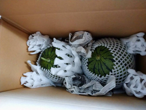 皮のふちまでシャリシャリ甘い！にしまるスイカ(小玉西瓜)　２玉入り(約４kg以上)