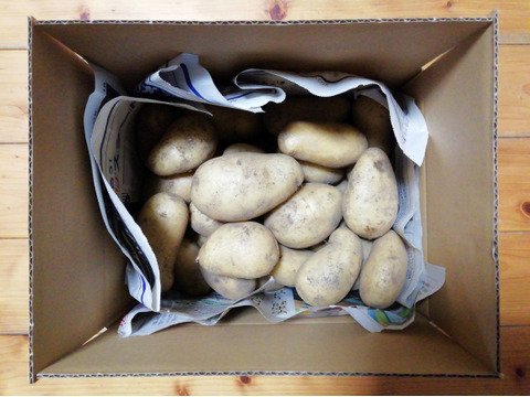 ジャガイモ(メークイン)2.5～３㎏程度【農薬化学肥料不使用】【合わせ買い可】【熨斗(のし)対応可】