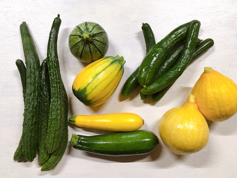夏野菜の３種セット　コリンキー・きゅうり・ズッキーニ【栽培期間中農薬不使用】