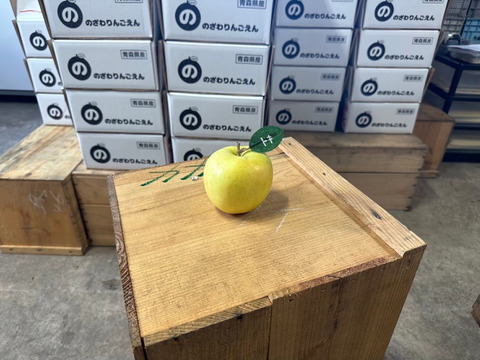 【福袋】 🍎贈り物大好評！ごほうび福箱3キロ🍎 ミックス 青森りんご 商品ID288331