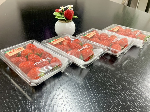 【いちごグランプリ2026　総合部門　銅賞】埼玉県オリジナル品種「あまりん」小粒4パック