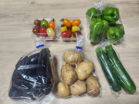 八ヶ岳高原の恵み満載！新鮮野菜5種詰め合わせセット