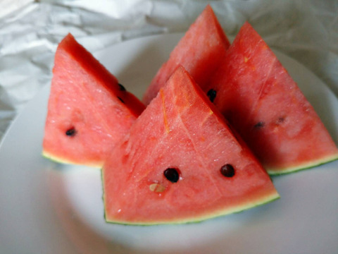 皮のふちまでシャリシャリ甘い！にしまるスイカ(小玉西瓜)　１玉入り(約２kg以上)