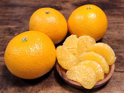 【木なり八朔 ご家庭用 4kg 】こだわりの樹上完熟