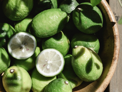 愛媛県産】グリーンレモン 10kg #農家直送 愛媛産 グリーンレモン 10