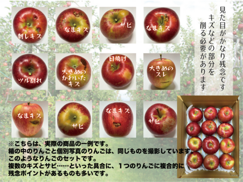 紅玉（安曇野産）３キロ※加工用簡易包装☆化学合成農薬50%以上削減栽培☆酸味たっぷり、お料理にオススメ