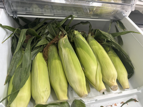 ”プロアスリート監修”　蒜山高原産　トウモロコシ　ドルチェ 4.5kg(９本～１２本）必ずクール便を選択してください（2025年度は8月10日まで）