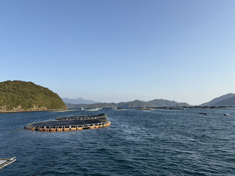 ※数量限定※包丁まな板いらず♪解凍するだけ！【みやび勘八スライス5P】お刺身用！