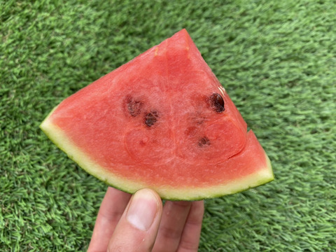 甘さ抜群！シャリシャリ小玉すいか🍉9～10kg（4玉～6玉）本州