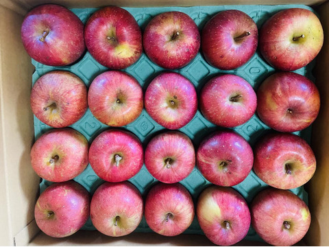 【予約開始！人気商品・二段箱】旬の甘〜い葉取らずサンふじ約40個入り【ご家庭用・10kg以上】