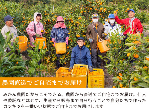 【食べ比べ】みかん・カンキツ詰め合わせセット5kg｜和歌山県海南市下津町から旬のみかん・かんきつ詰合わせセットを産地直送、農園直送でお届け。清見、セミノール、甘夏、八朔等、様々な柑橘が楽しめます