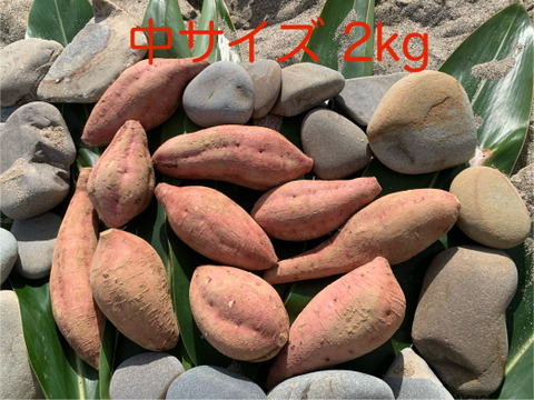 甘くて美味しい安納芋・種子島産・有機農業・中サイズ(食べ応え抜群！)箱込み2kg