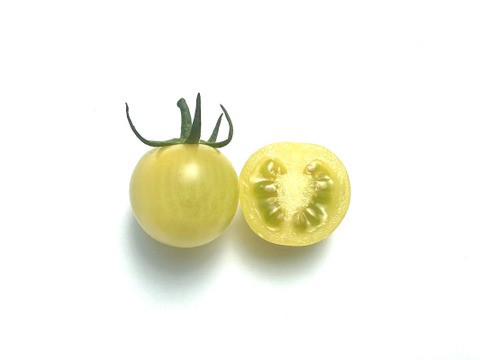 レモン色ミニトマト 500g【清涼感のある爽やかな甘さ】熊本県産：ギフトメッセージ対応