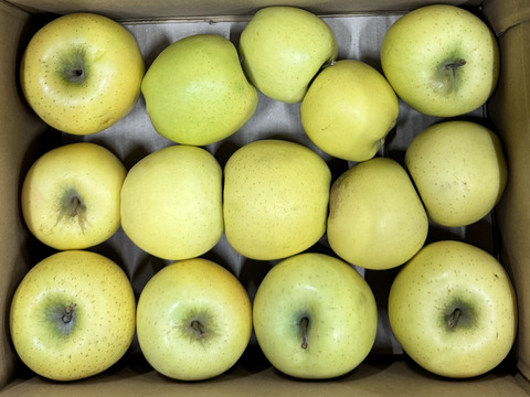 【訳あり・バラ詰め 大小込み】シナノゴールド💛約2.7Kg🍏青森県産　数量限定