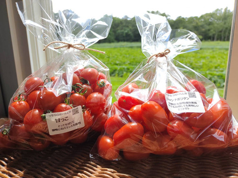 ★ミニトマト食べ比べ★化学農薬不使用ミニトマト、甘っこ750g＋ロッソナポリタン750g、合計1.5kg　北海道産