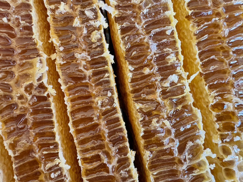 『奥久慈の花蜜』 日本みつばちの天然はちみつ 140g