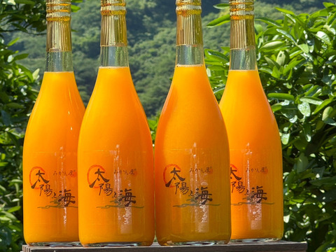 愛媛のみかんジュース☆ 4本セット
