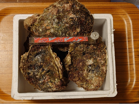 和歌山　天然岩牡蠣　中サイズ5個