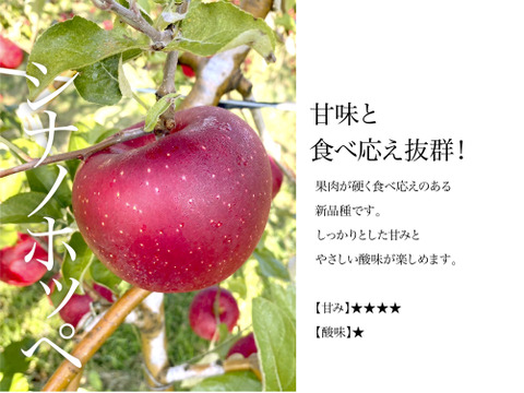 【2026年予約】『シナノホッペ』家庭用　甘くて硬い！ほっぺが落ちる美味しさ♡5kg