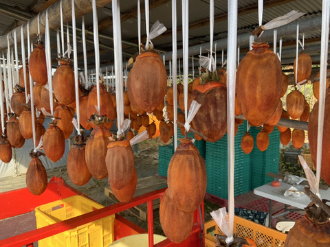 自分で作る干し柿！渋柿30個セット【作り方シート付き】