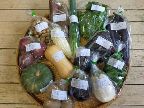 【美味しい野菜をお届けします】　季節の野菜セット『採れTakara☆彡』7品前後
