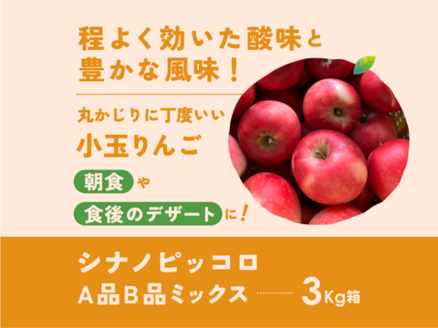 【幻の小玉第1弾】シナノピッコロ3キロ箱 人気上昇中！ 〜21玉 商品ID41120 長野県 信州 安曇野 リンゴ 幻 幻のリンゴ 予約 希少 旬 小玉品種