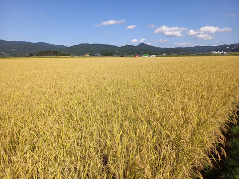 omg様専用商品：有機栽培コシヒカリ玄米20㎏