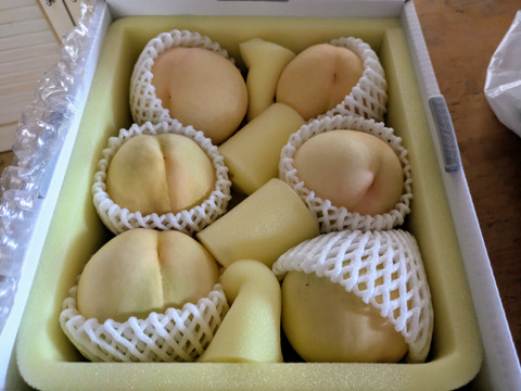 【夏ギフト:７月中旬発送・化粧箱入り】桃の女王・果汁がジュワッと溢れでる『清水白桃』5〜10玉（贈答用・熨斗対応可）