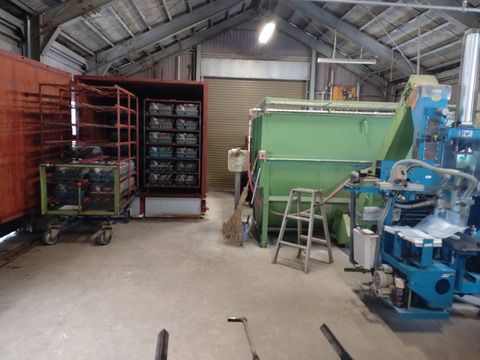 【ちょっと贅沢に】大きくて肉厚！あがまる生しいたけ（菌床）0.6キロ