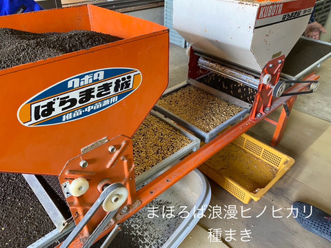 まほろば浪漫🌾ヒノヒカリ (精米5㎏)令和6年