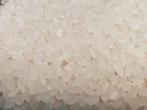 🌾 農薬化学肥料不使用栽培【きぬむすめ】白米5kg （玄米/分つき精米可）