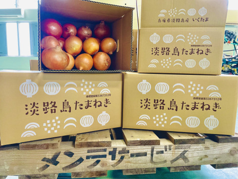 【沖縄発送用】甘くて柔らか！ 淡路島玉ねぎ「いくたま」（5kg）