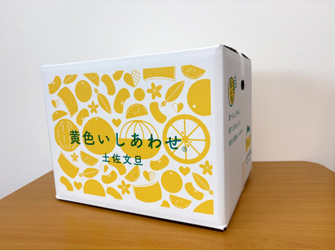 化学合成農薬栽培期間中不使用　土佐文旦　家庭用訳あり品　大玉 　10kg入(14個前後)　黄色いしあわせ®　文旦の本場👑高知県土佐市産　☆便利な皮むき器付き　※北海道への配送はできません
