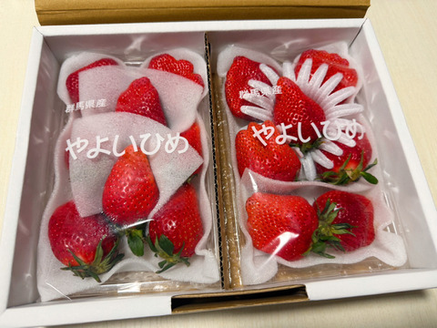 【ハーフ】⭐️奇跡のやよいひめ⭐️『群馬いちご』320g×2トレー（1箱）