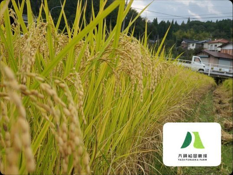 【令和5年・玄米・一等米】30㎏きぬむすめ 
【栽培期間中農薬化学肥料不使用】