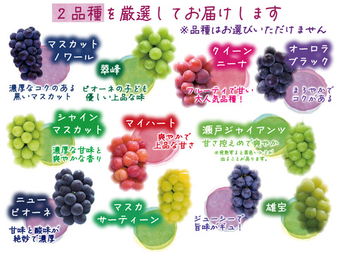 花笑み農園　岡山の訳ありブドウ2種食べ比べ　1kg【9/18～順次発送】W2M-1