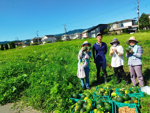 [埼玉寄居発] 甘くてホクホク九重栗(大)2個